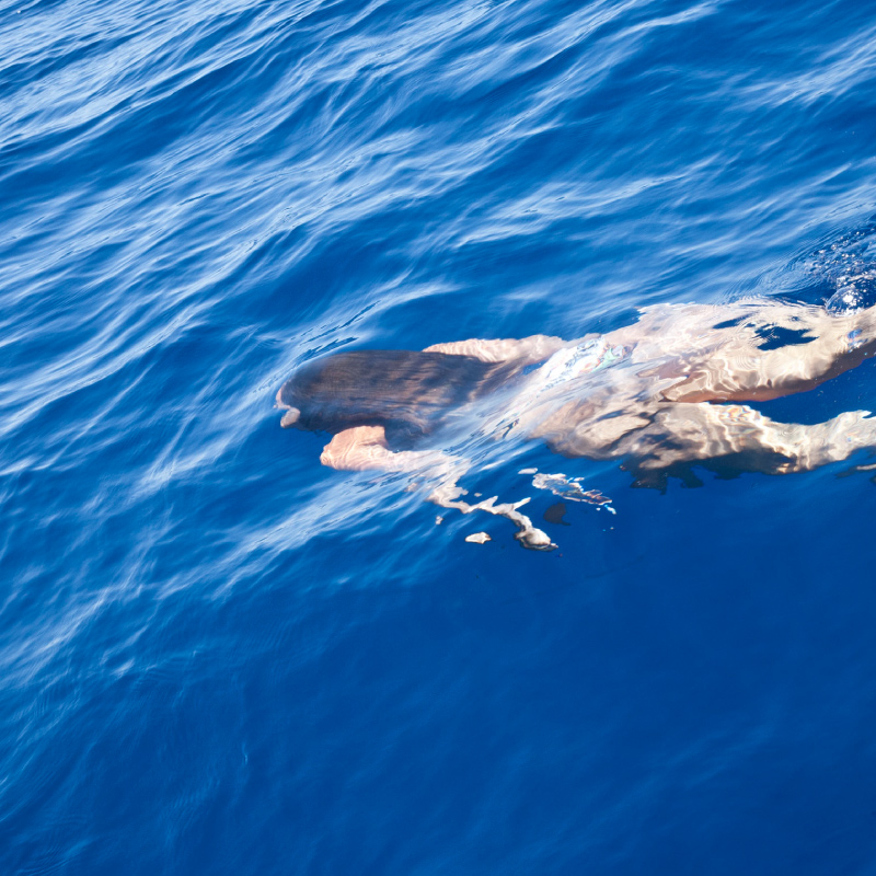 Girl swims beneath the Polyaigos waters