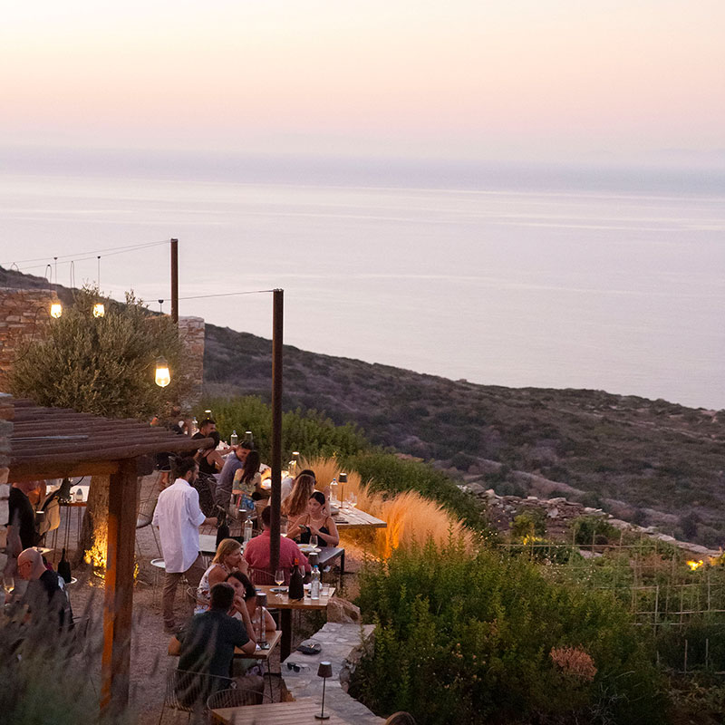 People dining at Verina bostani restaurant