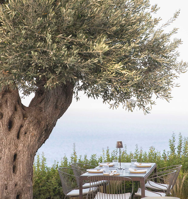 Exterior View - Verina Astra