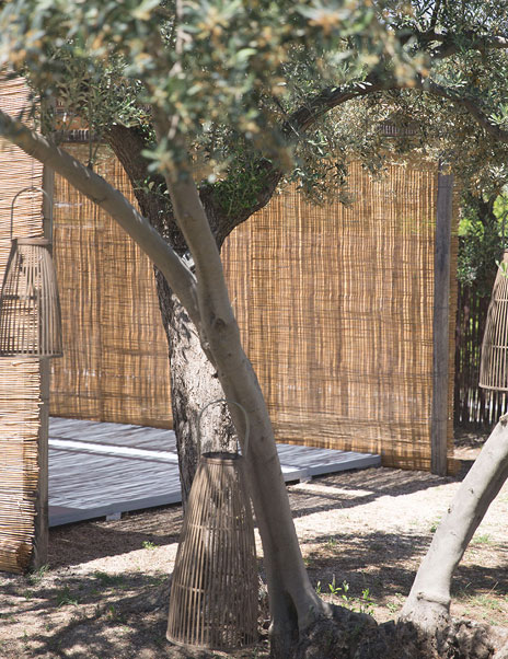 Tree & Exterior View - Verina Terra